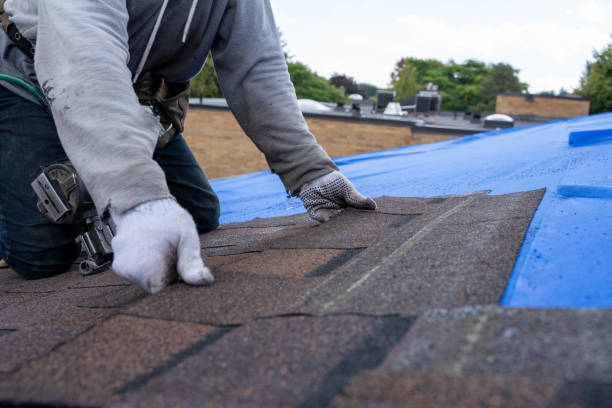 Best Slate Roofing Contractor  in El Jon, CA