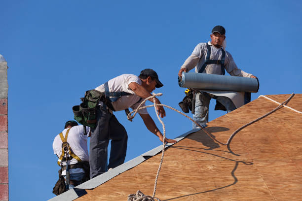 Best Roof Gutter Cleaning  in El Jon, CA