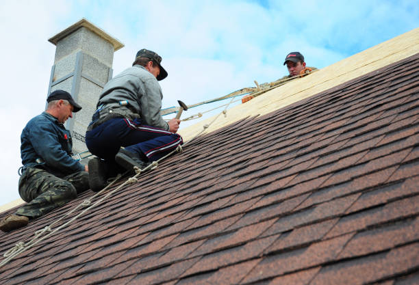 Best Roof Maintenance Services  in El Jon, CA